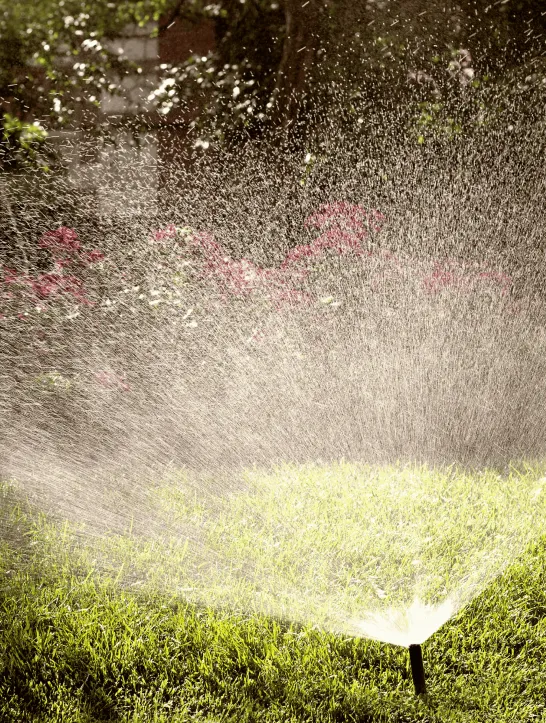 Irrigation Service 1