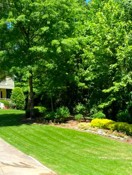 Landscape Design 1